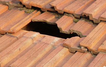 roof repair Swallohurst, Cumbria