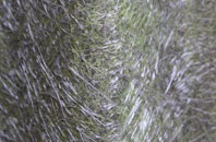 Swallohurst fibreglass roof work